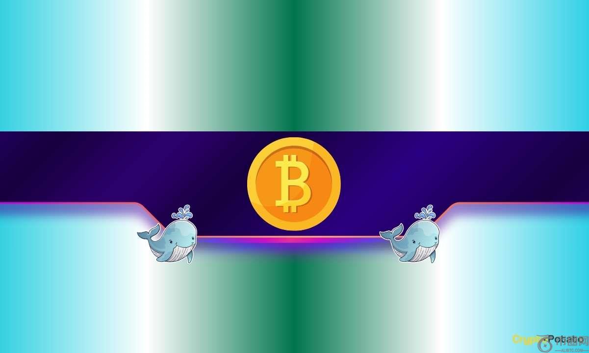 4 天内购买了 30,000 个 BTC:新一轮比特币牛市即将到来? 4 天内购买了 30,000 个 BTC:新一轮比特币牛市即将到来?