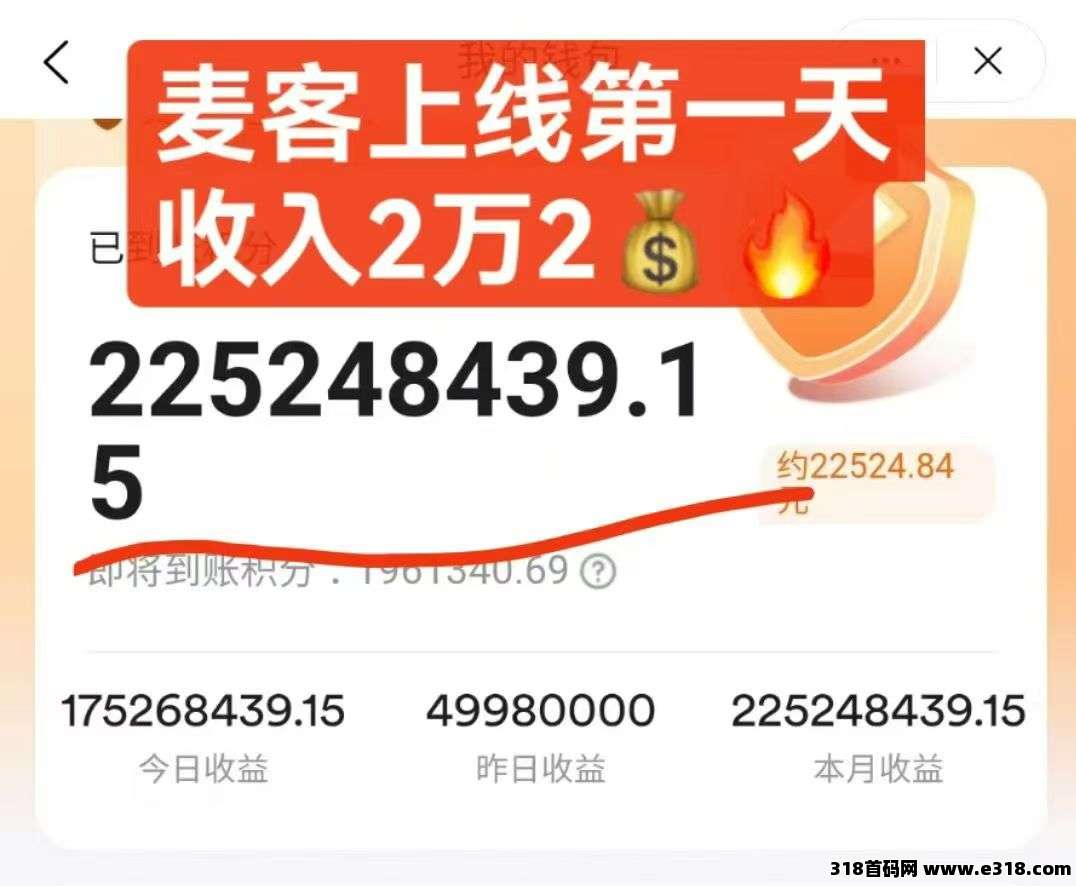 【麦客3.0】首码对接，扶持拉满，有长期管道收益！