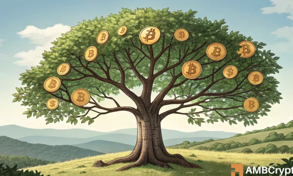 比特币：以下是超越 BTC ATH 的线索；首先，寻找……